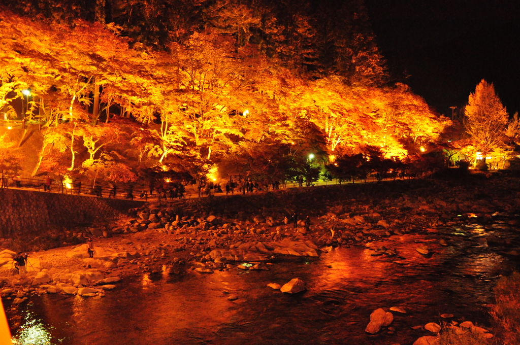 紅葉祭り