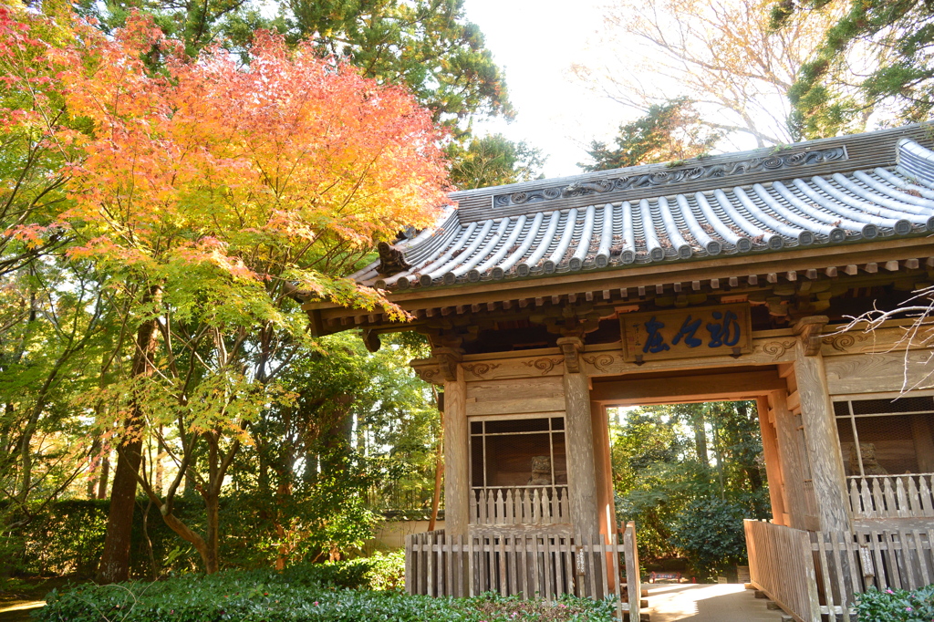 龍潭寺の庭園４