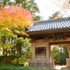 龍潭寺の庭園４