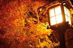 秋の街路灯