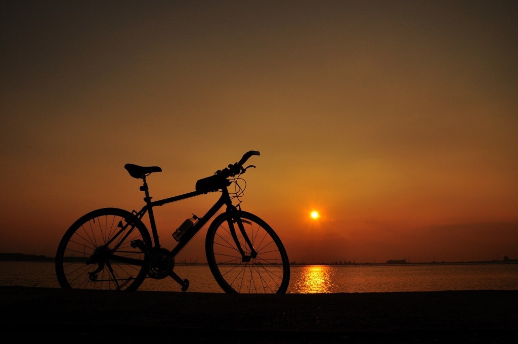 夕日に照らされて