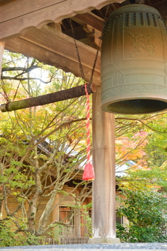 龍潭寺の庭園５