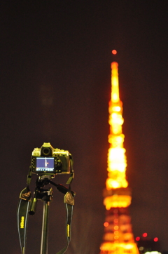 東京の夜