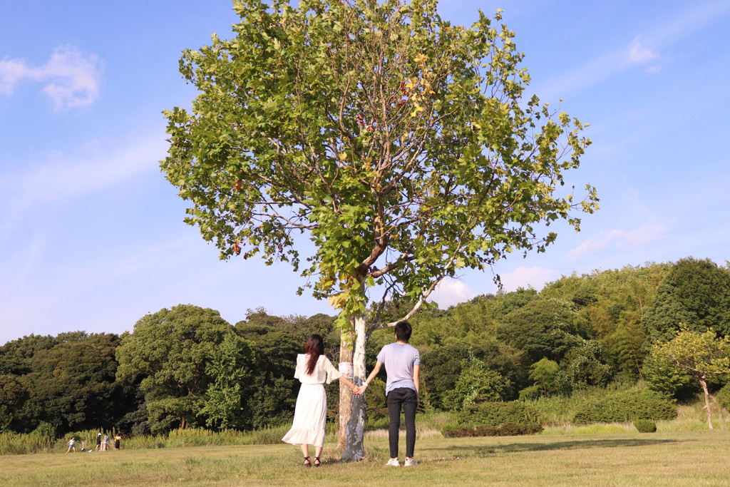 AE59A6AA-D735-457C-B206-86BD6C50C3B6