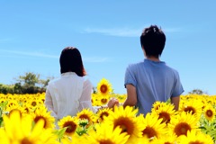 3E2A608A-8492-400A-B81F-18FC0322E145