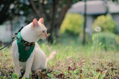 94535775-CDA7-4159-B756-D2663F166363