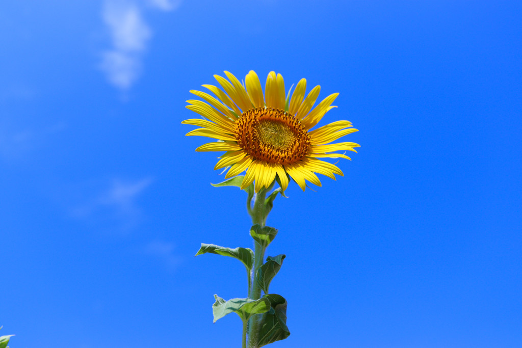 2367FE87-4240-4FAC-A249-82633A190D02