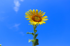 2367FE87-4240-4FAC-A249-82633A190D02