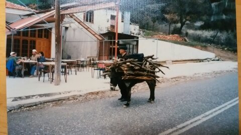 オートボーイで撮った旅写真（サントリーニ島）