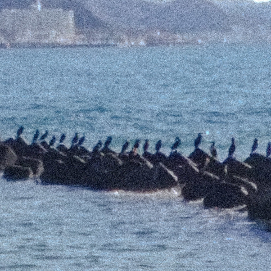 由比ヶ浜