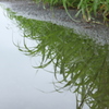 水鏡写真1