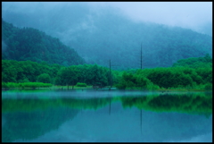 雨上がりの高原