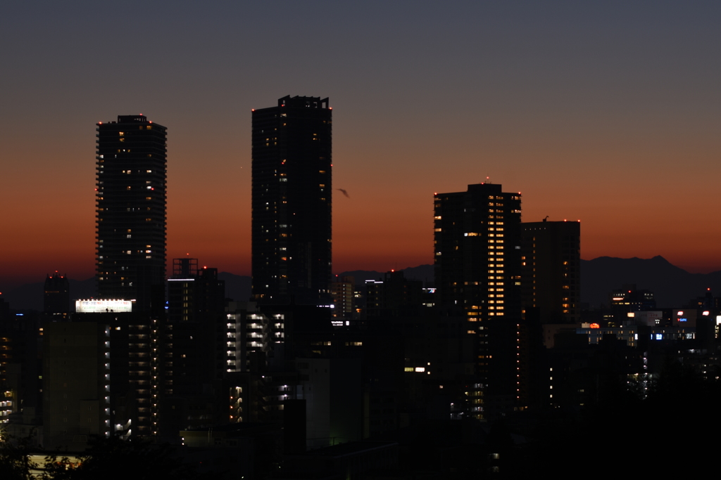 夜景と夕焼けの融合？