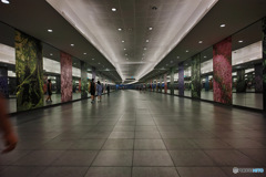 シンガポール 地下道