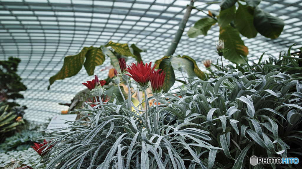 植物園で