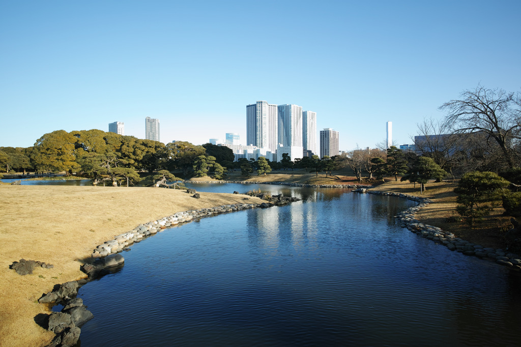 浜離宮からの 写るんです 白とびぎみ