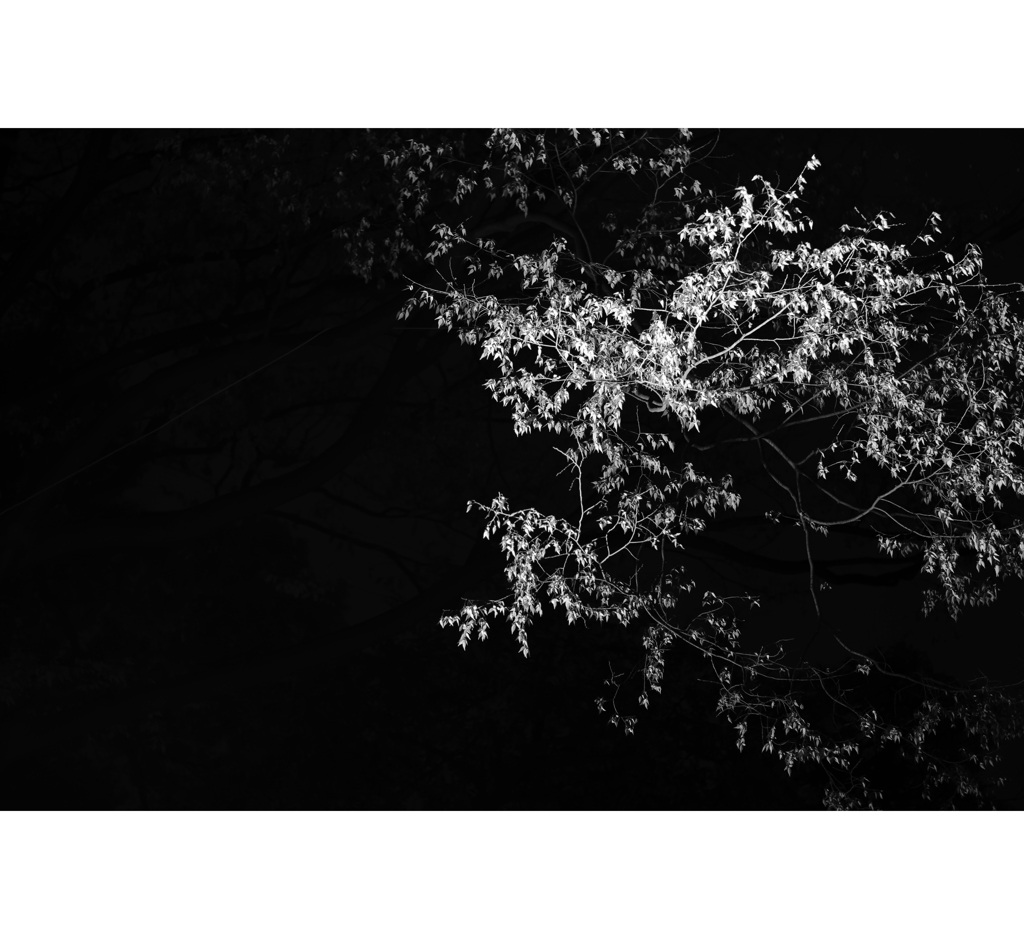 冬の夜