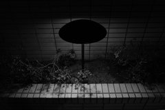光の傘