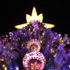クリスマスツリーin香港ディズニー