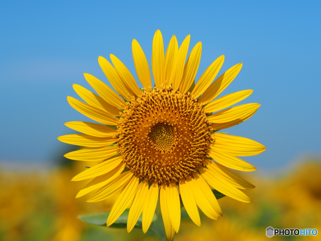 45B834F9-74D0-47ED-B841-E1530F869B26