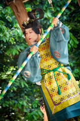 鷺ノ森神社例祭
