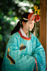 鷺ノ森神社例祭