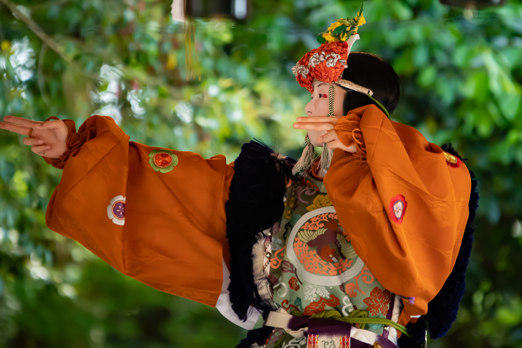 鷺ノ森神社例祭