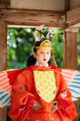 鷺ノ森神社例祭