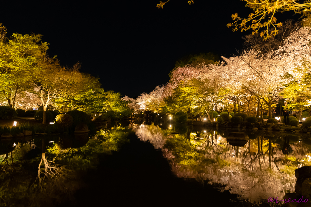 東寺ライトアップ