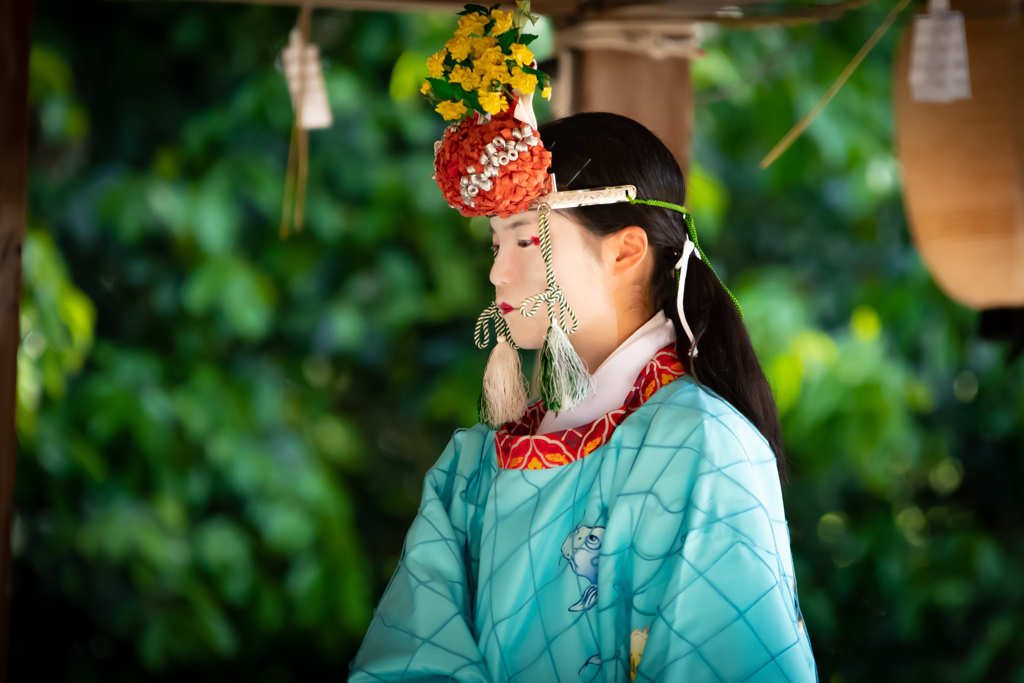 鷺ノ森神社例祭