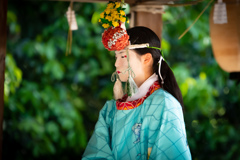 鷺ノ森神社例祭