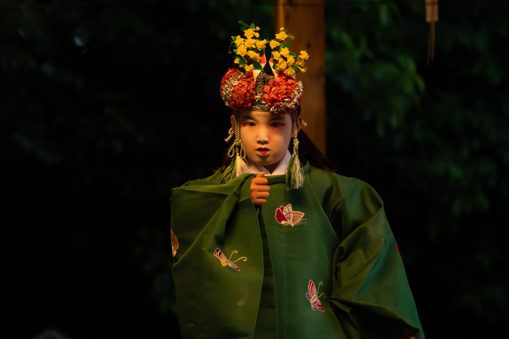 鷺ノ森神社例祭