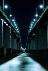 琵琶湖大橋　光の道