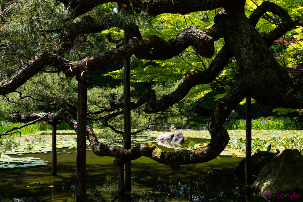 平安神宮