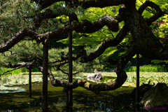 平安神宮
