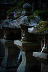 鷺ノ森神社例祭