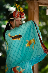 鷺ノ森神社例祭