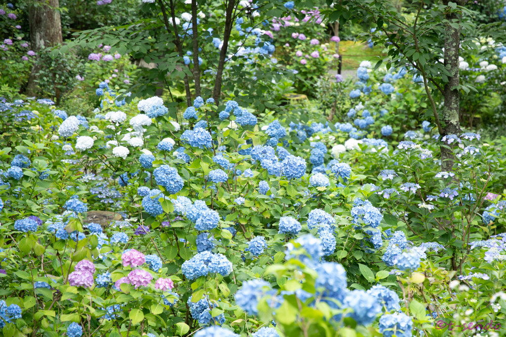 三千院