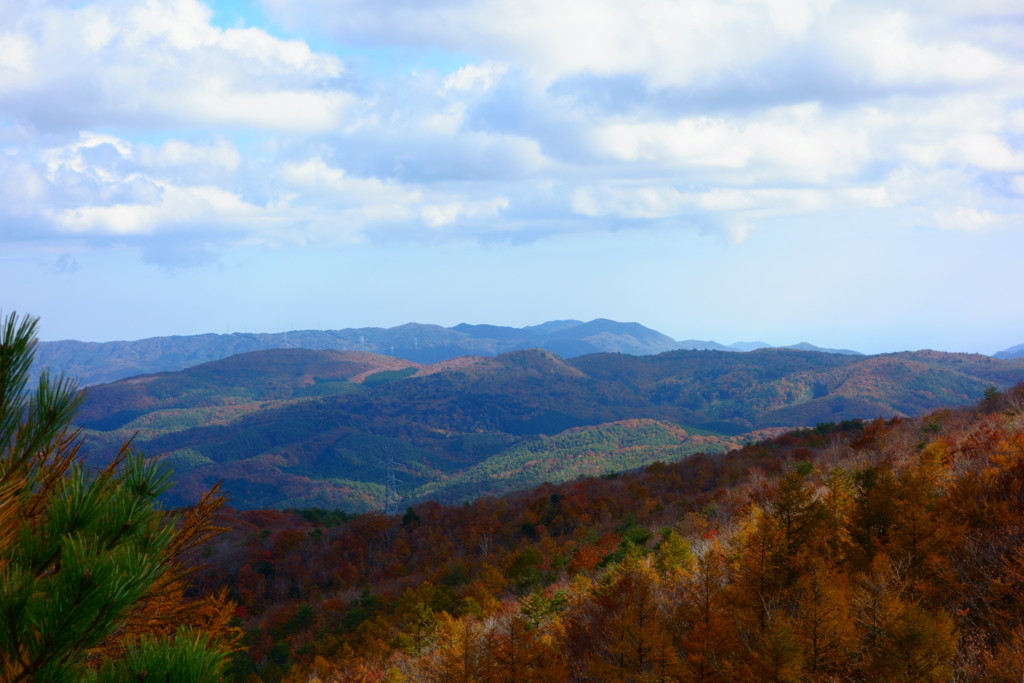 鬼ヶ城山 山頂