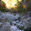 夏井川渓谷