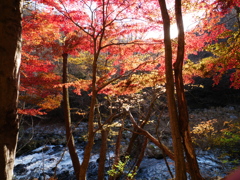 四時川渓谷1