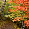 鬼ヶ城山の紅葉 2