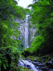 東椎屋の滝