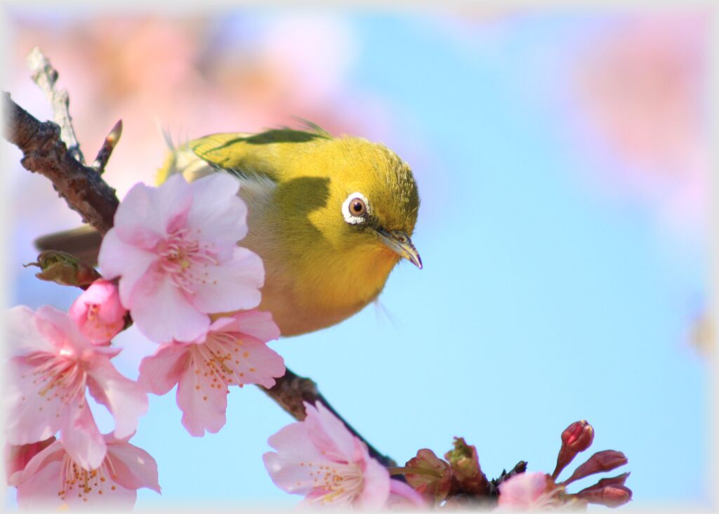 朝のご挨拶