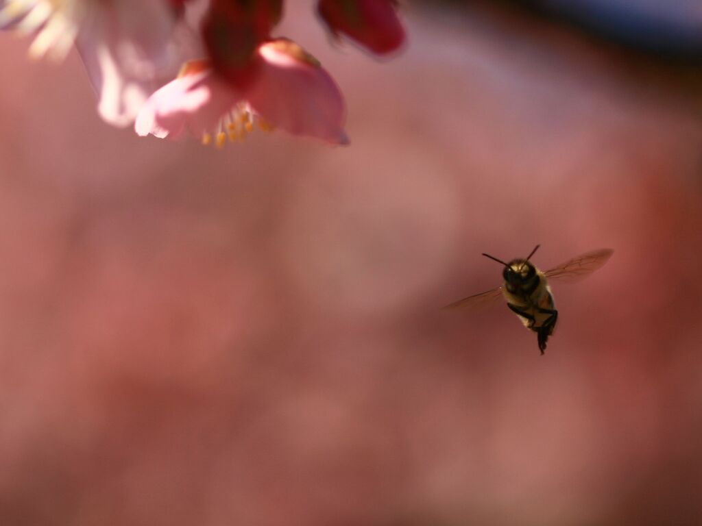 カメラ目線？