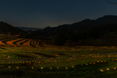 大山千枚田