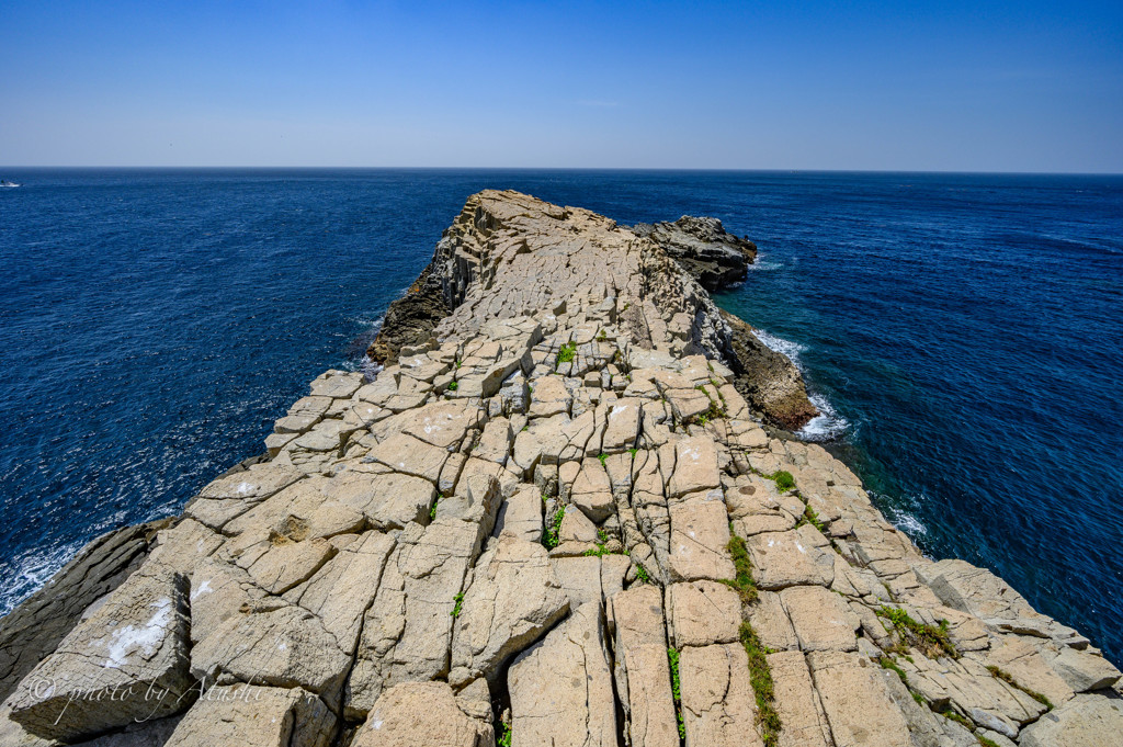 男女群島　女島　その５