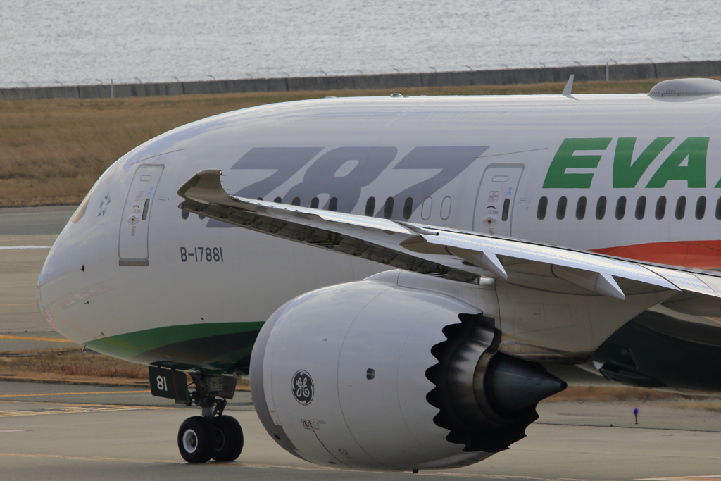 EVA 787