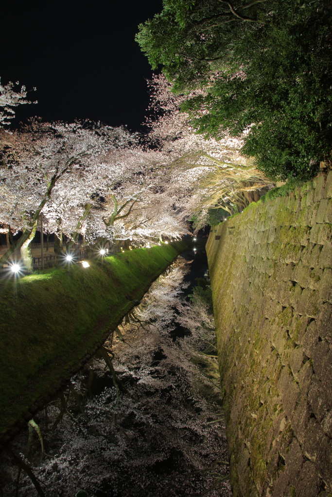 お堀フレクション