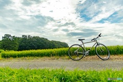 田舎道と自転車